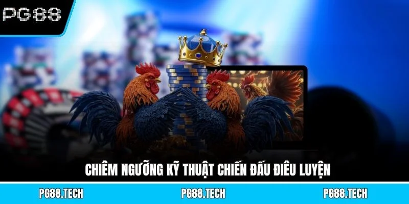 Chiêm ngưỡng kỹ thuật chiến đấu điêu luyện